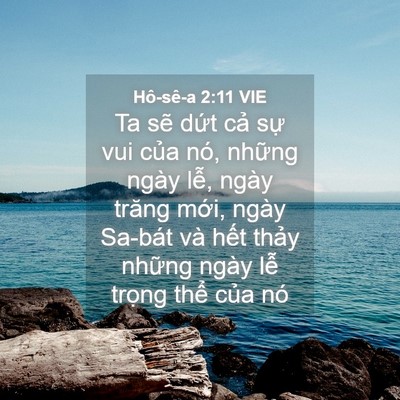 Picture 04 - Hô-sê-a 2:11 VIE - Ta sẽ dứt cả sự vui của nó, những - Bible Verse Picture