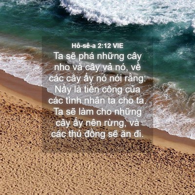 Picture 04 - Hô-sê-a 2:12 VIE - Ta sẽ phá những cây nho và cây vả nó, - Bible Verse Picture