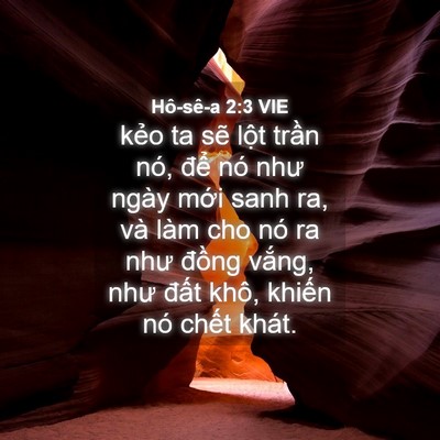 Picture 04 - Hô-sê-a 2:3 VIE - kẻo ta sẽ lột trần nó, để nó như - Bible Verse Picture