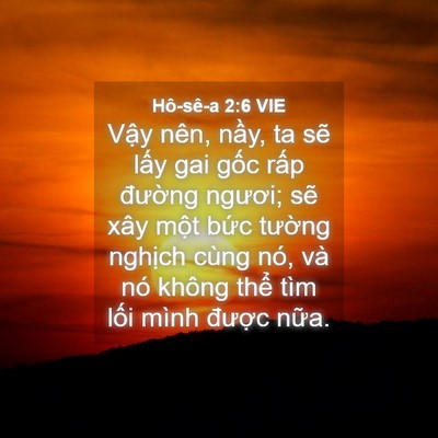 Picture 04 - Hô-sê-a 2:6 VIE - Vậy nên, nầy, ta sẽ lấy gai gốc rấp - Bible Verse Picture
