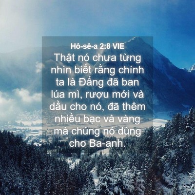 Picture 04 - Hô-sê-a 2:8 VIE - Thật nó chưa từng nhìn biết rằng - Bible Verse Picture