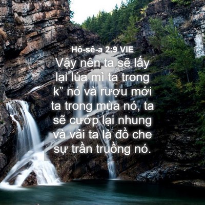 Picture 04 - Hô-sê-a 2:9 VIE - Vậy nên ta sẽ lấy lại lúa mì ta trong - Bible Verse Picture