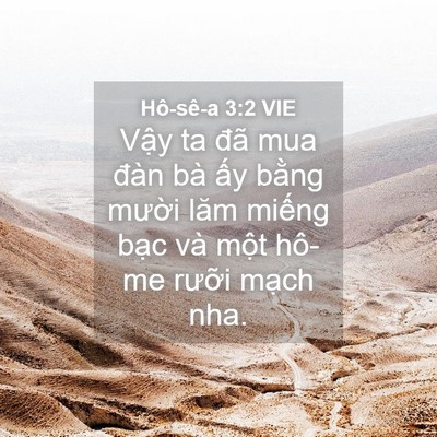 Picture 04 - Hô-sê-a 3:2 VIE - Vậy ta đã mua đàn bà ấy bằng mười - Bible Verse Picture