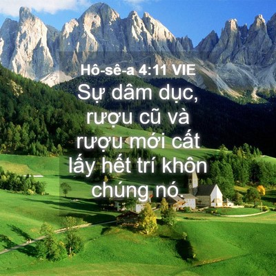 Picture 04 - Hô-sê-a 4:11 VIE - Sự dâm dục, rượu cũ và rượu mới - Bible Verse Picture