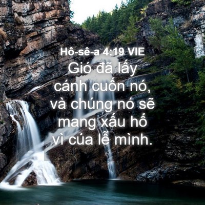 Picture 04 - Hô-sê-a 4:19 VIE - Gió đã lấy cánh cuốn nó, và chúng nó - Bible Verse Picture