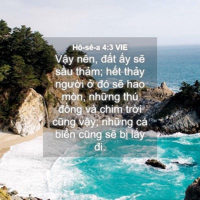 Picture 04 - Hô-sê-a 4:3 VIE - Vậy nên, đất ấy sẽ sầu thảm; hết - Bible Verse Picture