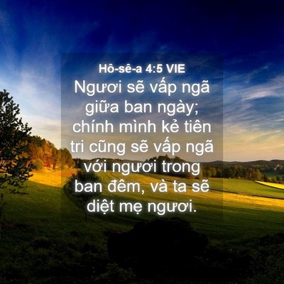 Picture 04 - Hô-sê-a 4:5 VIE - Ngươi sẽ vấp ngã giữa ban ngày; chính - Bible Verse Picture