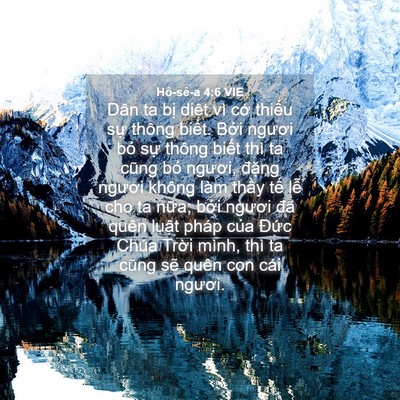 Picture 04 - Hô-sê-a 4:6 VIE - Dân ta bị diệt vì cớ thiếu sự thông - Bible Verse Picture