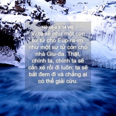 Picture 04 - Hô-sê-a 5:14 VIE - Vì ta sẽ như một con sư tử cho - Bible Verse Picture