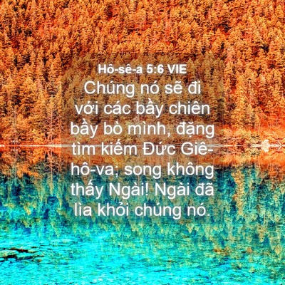 Picture 04 - Hô-sê-a 5:6 VIE - Chúng nó sẽ đi với các bầy chiên bầy - Bible Verse Picture