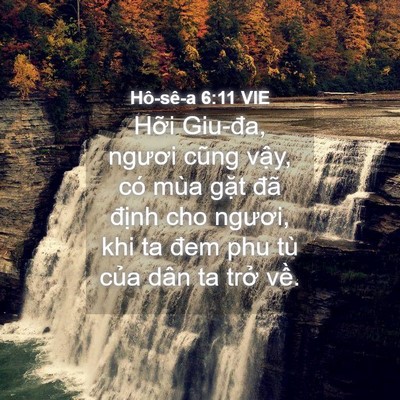 Picture 04 - Hô-sê-a 6:11 VIE - Hỡi Giu-đa, ngươi cũng vậy, có mùa - Bible Verse Picture