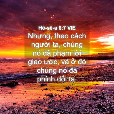 Picture 04 - Hô-sê-a 6:7 VIE - Nhưng, theo cách người ta, chúng nó đã - Bible Verse Picture