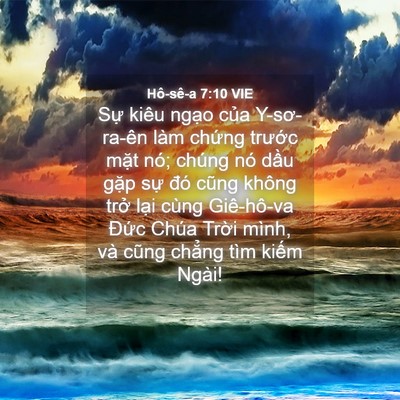 Picture 04 - Hô-sê-a 7:10 VIE - Sự kiêu ngạo của Y-sơ-ra-ên làm chứng - Bible Verse Picture