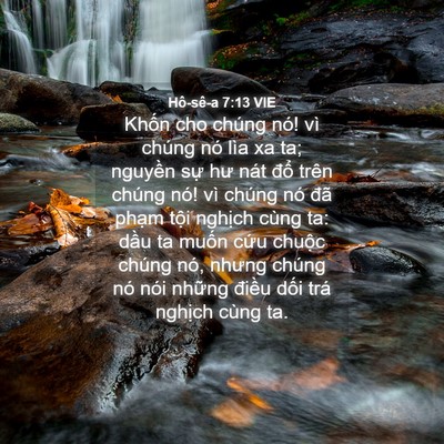 Picture 04 - Hô-sê-a 7:13 VIE - Khốn cho chúng nó! vì chúng nó lìa xa ta; - Bible Verse Picture
