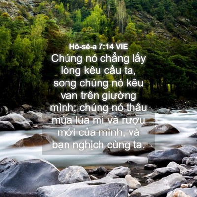 Picture 04 - Hô-sê-a 7:14 VIE - Chúng nó chẳng lấy lòng kêu cầu ta, - Bible Verse Picture