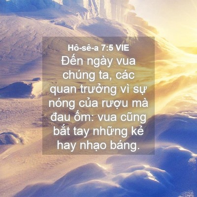 Picture 04 - Hô-sê-a 7:5 VIE - Đến ngày vua chúng ta, các quan trưởng - Bible Verse Picture