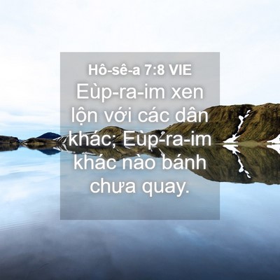 Picture 04 - Hô-sê-a 7:8 VIE - Eùp-ra-im xen lộn với các dân khác; - Bible Verse Picture