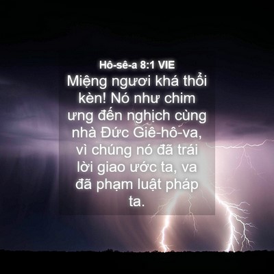 Picture 04 - Hô-sê-a 8:1 VIE - Miệng ngươi khá thổi kèn! Nó như chim - Bible Verse Picture