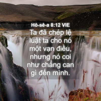 Picture 04 - Hô-sê-a 8:12 VIE - Ta đã chép lệ luật ta cho nó một vạn - Bible Verse Picture
