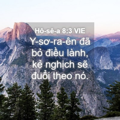 Picture 04 - Hô-sê-a 8:3 VIE - Y-sơ-ra-ên đã bỏ điều lành, kẻ - Bible Verse Picture