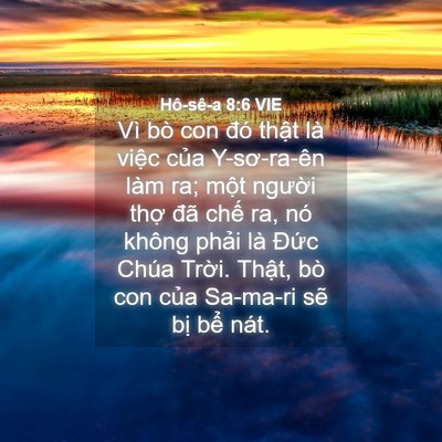 Picture 04 - Hô-sê-a 8:6 VIE - Vì bò con đó thật là việc của - Bible Verse Picture