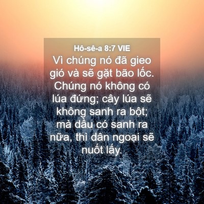 Picture 04 - Hô-sê-a 8:7 VIE - Vì chúng nó đã gieo gió và sẽ gặt bão - Bible Verse Picture