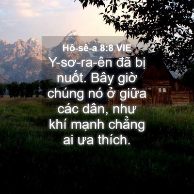 Picture 04 - Hô-sê-a 8:8 VIE - Y-sơ-ra-ên đã bị nuốt. Bây giờ chúng - Bible Verse Picture