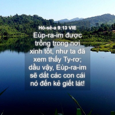 Picture 04 - Hô-sê-a 9:13 VIE - Eùp-ra-im được trồng trong nơi xinh - Bible Verse Picture