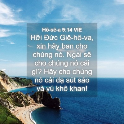 Picture 04 - Hô-sê-a 9:14 VIE - Hỡi Đức Giê-hô-va, xin hãy ban cho chúng - Bible Verse Picture