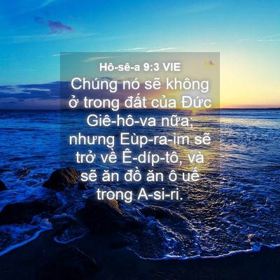 Picture 04 - Hô-sê-a 9:3 VIE - Chúng nó sẽ không ở trong đất của - Bible Verse Picture