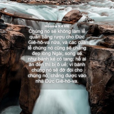 Picture 04 - Hô-sê-a 9:4 VIE - Chúng nó sẽ không làm lễ quán bằng - Bible Verse Picture