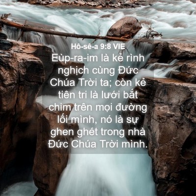 Picture 04 - Hô-sê-a 9:8 VIE - Eùp-ra-im là kẻ rình nghịch cùng Đức - Bible Verse Picture