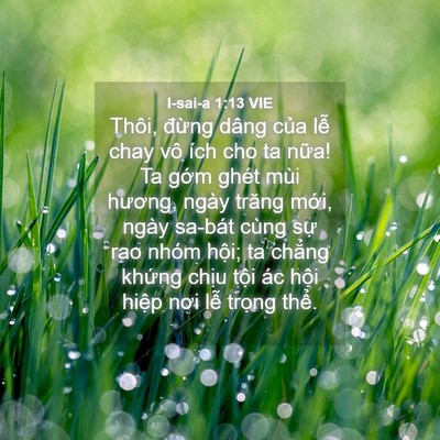 Picture 04 - I-sai-a 1:13 VIE - Thôi, đừng dâng của lễ chay vô ích cho - Bible Verse Picture
