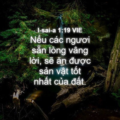 Picture 04 - I-sai-a 1:19 VIE - Nếu các ngươi sẵn lòng vâng lời, sẽ - Bible Verse Picture