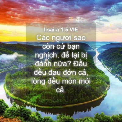 Picture 04 - I-sai-a 1:5 VIE - Các ngươi sao còn cứ bạn nghịch, để - Bible Verse Picture