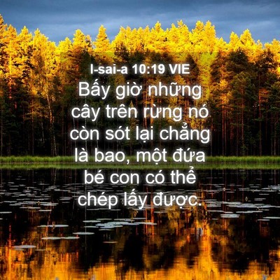 Picture 04 - I-sai-a 10:19 VIE - Bấy giờ những cây trên rừng nó còn - Bible Verse Picture