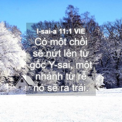 Picture 04 - I-sai-a 11:1 VIE - Có một chồi sẽ nứt lên từ gốc - Bible Verse Picture