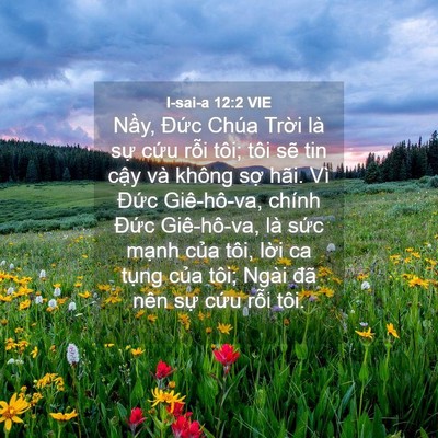 Picture 04 - I-sai-a 12:2 VIE - Nầy, Đức Chúa Trời là sự cứu rỗi - Bible Verse Picture