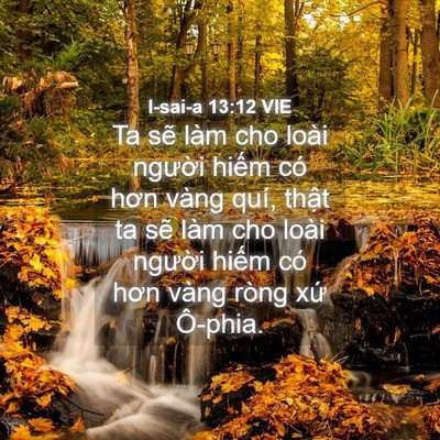 Picture 04 - I-sai-a 13:12 VIE - Ta sẽ làm cho loài người hiếm có hơn - Bible Verse Picture