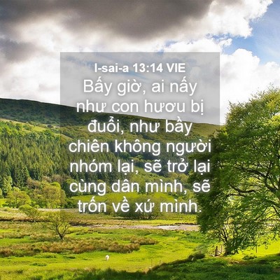 Picture 04 - I-sai-a 13:14 VIE - Bấy giờ, ai nấy như con hươu bị - Bible Verse Picture
