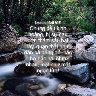 Picture 04 - I-sai-a 13:8 VIE - Chúng đều kinh hoàng, bị sự đau đớn - Bible Verse Picture