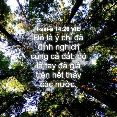 Picture 04 - I-sai-a 14:26 VIE - Đó là ý chỉ đã định nghịch cùng - Bible Verse Picture