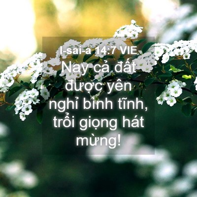 Picture 04 - I-sai-a 14:7 VIE - Nay cả đất được yên nghỉ bình tĩnh, - Bible Verse Picture