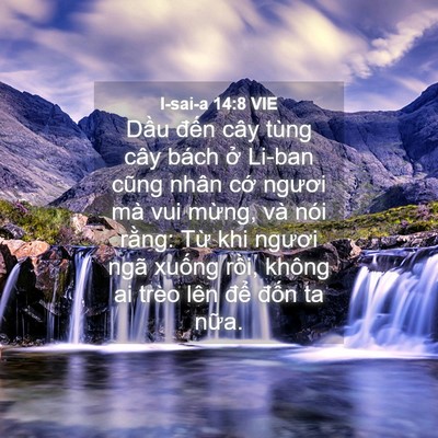 Picture 04 - I-sai-a 14:8 VIE - Dầu đến cây tùng cây bách ở Li-ban - Bible Verse Picture