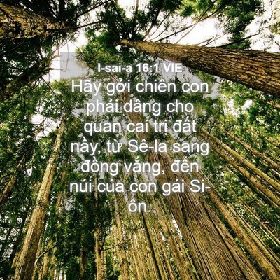 Picture 04 - I-sai-a 16:1 VIE - Hãy gởi chiên con phải dâng cho quan cai - Bible Verse Picture