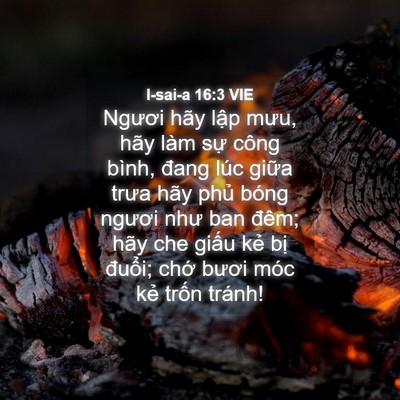 Picture 04 - I-sai-a 16:3 VIE - Ngươi hãy lập mưu, hãy làm sự công - Bible Verse Picture