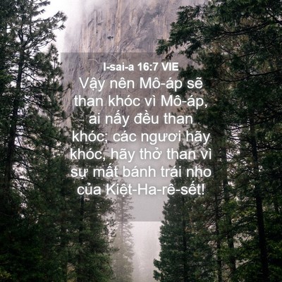 Picture 04 - I-sai-a 16:7 VIE - Vậy nên Mô-áp sẽ than khóc vì Mô-áp, - Bible Verse Picture