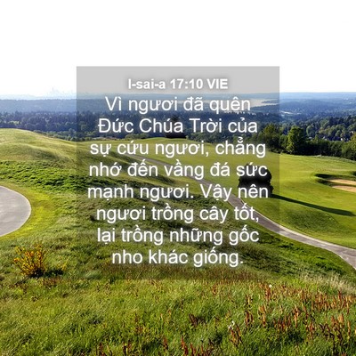 Picture 04 - I-sai-a 17:10 VIE - Vì ngươi đã quên Đức Chúa Trời của - Bible Verse Picture