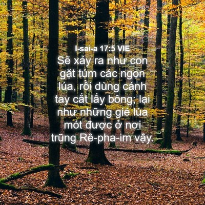 Picture 04 - I-sai-a 17:5 VIE - Sẽ xảy ra như con gặt túm các ngọn - Bible Verse Picture