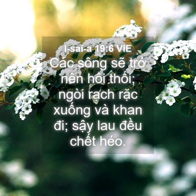 Picture 04 - I-sai-a 19:6 VIE - Các sông sẽ trở nên hôi thối; ngòi - Bible Verse Picture